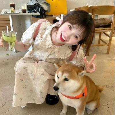折翼蝴蝶